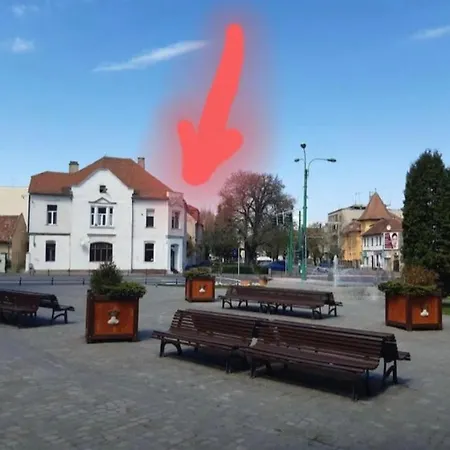 Loft Bed Apartment Brasov